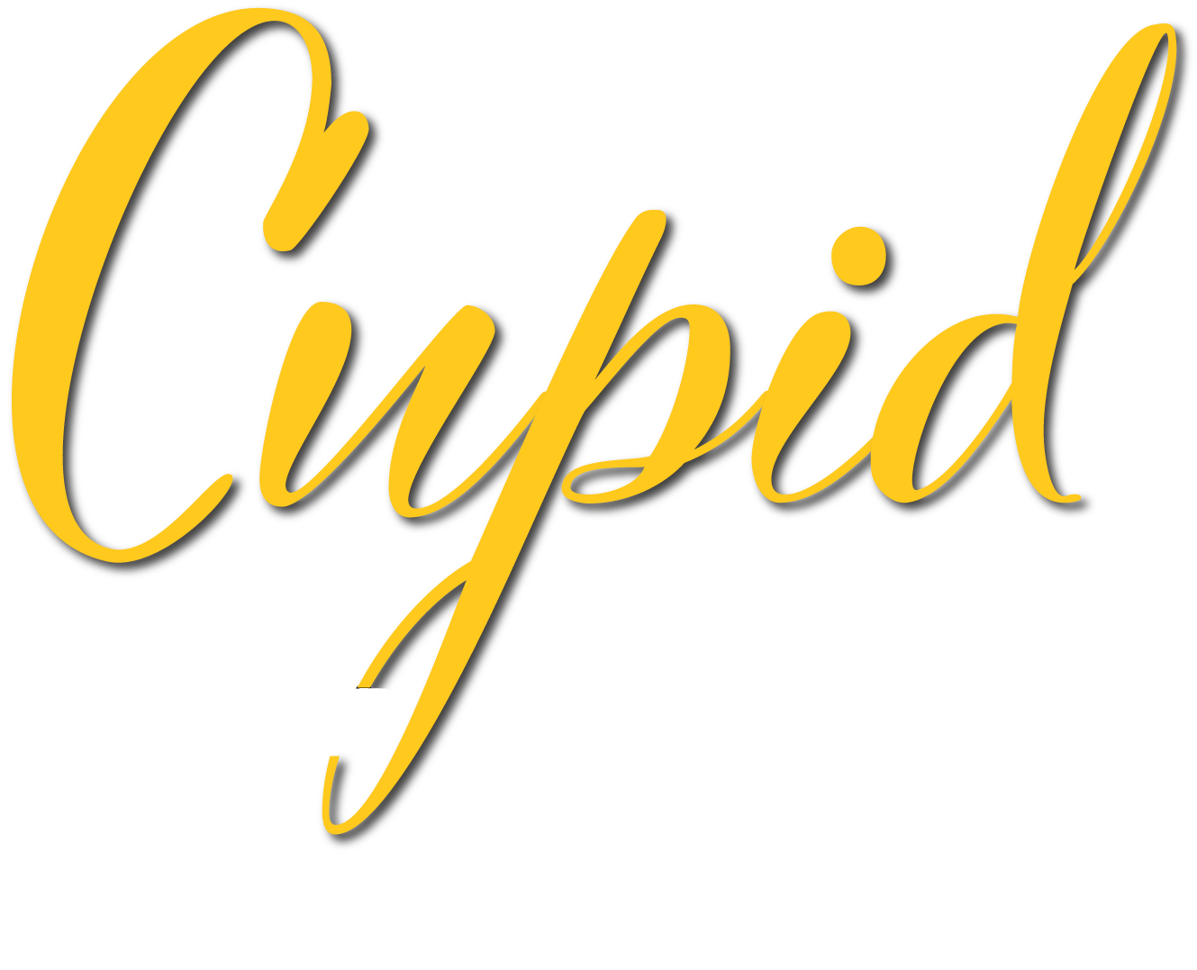 Brecksville house cleaning
