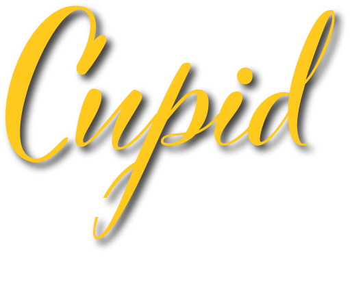 canal fulton house cleaning