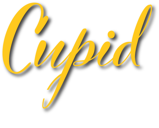 house cleaning falls