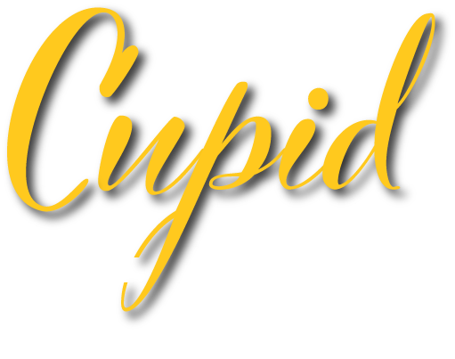 shaker heights house cleaning