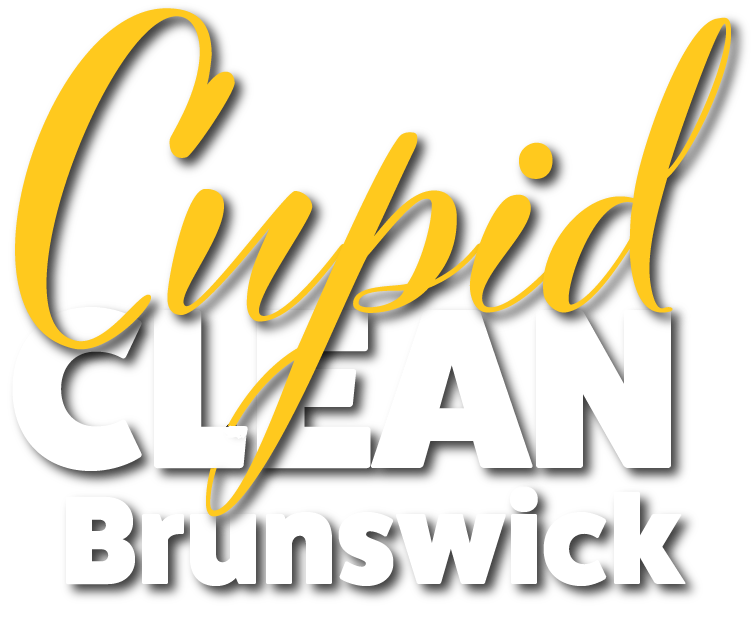 cleaning brunswick
