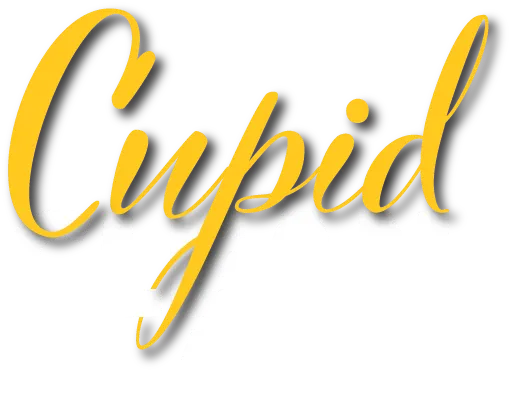 house cleaning akron