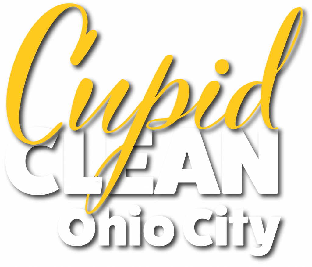 ohio city house cleaning