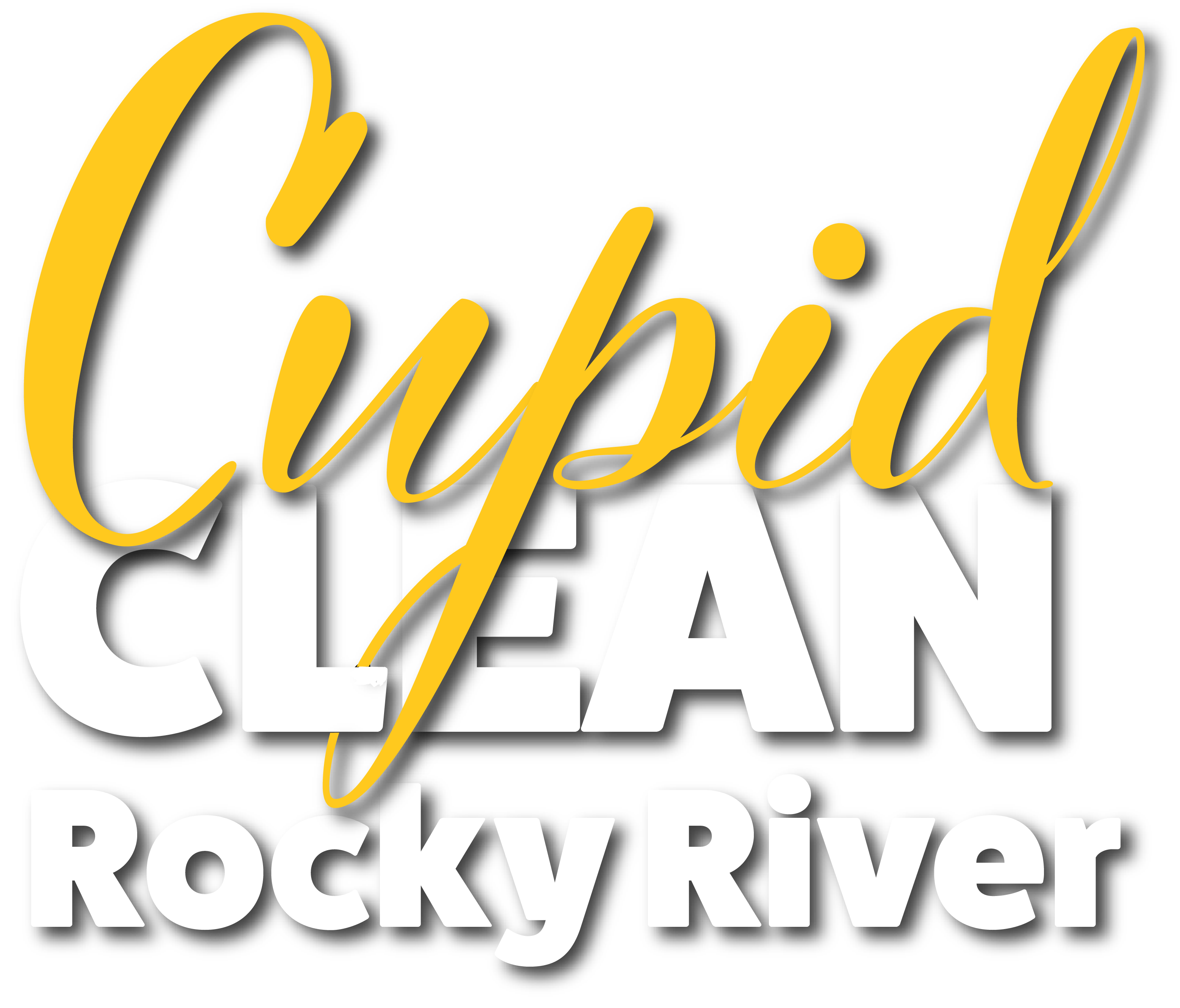 house cleaning rocky river