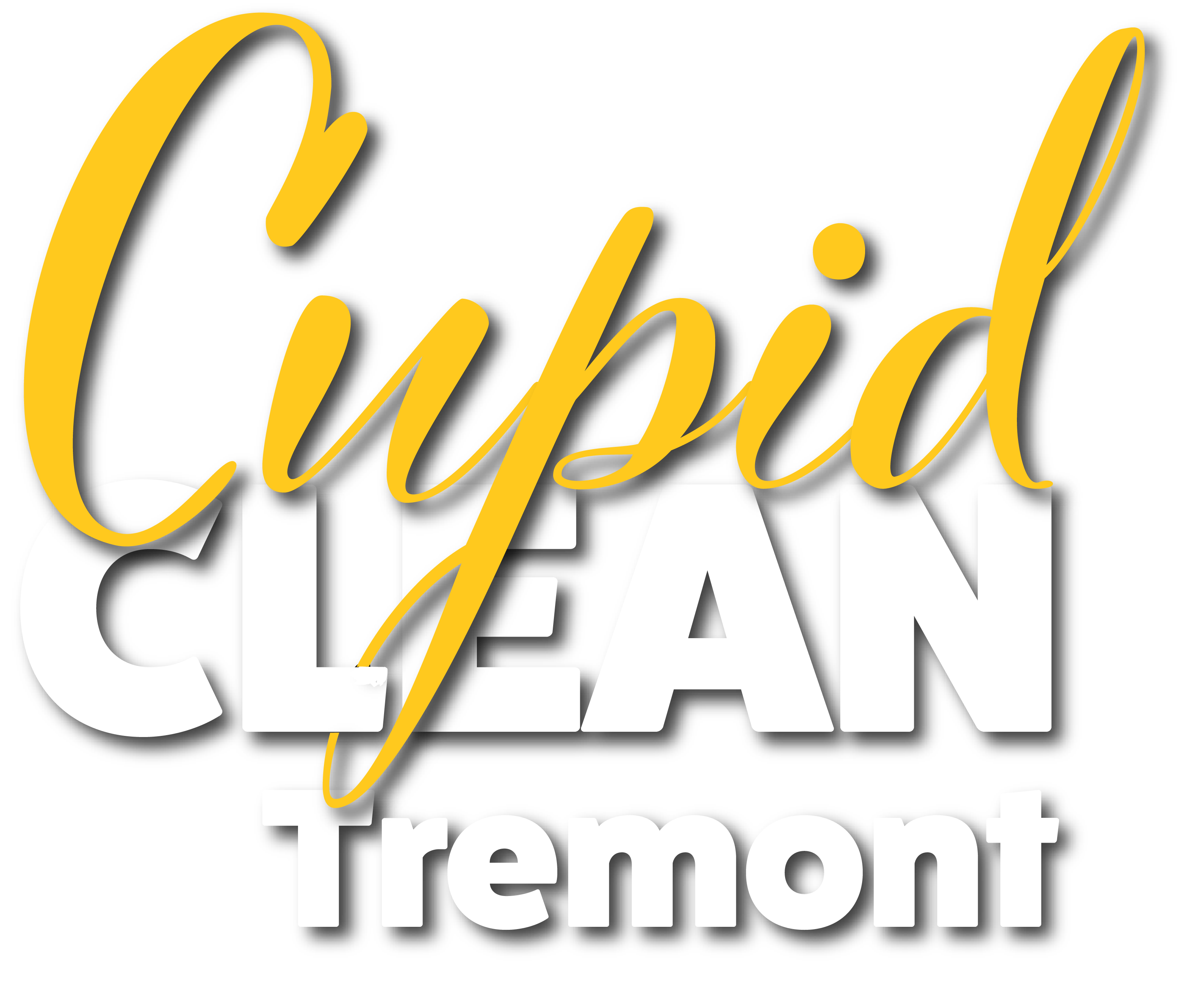 house cleaning tremont