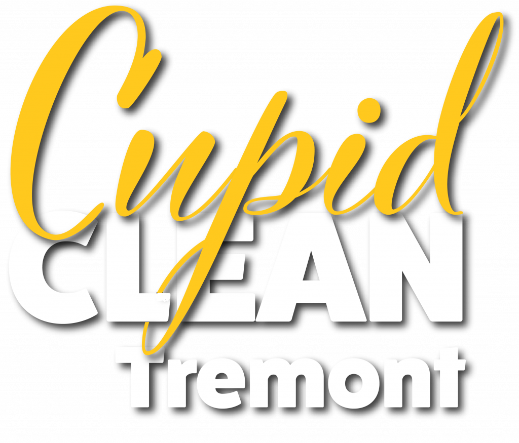 Tremont house cleaning
